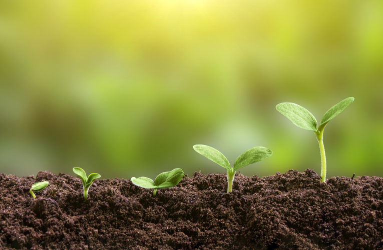 Lifecycle assessments help organizations understand impacts from manufacturing through end-of-life treatment.